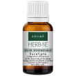 herbae eucalipto olio essenziale 10 ml ml soluzione orale