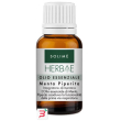 herbae menta piperita olio essenziale 10 ml