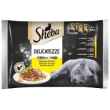 delicatezze in gelatina con pollo