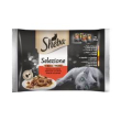 selezione in salsa selezione gustosa carne