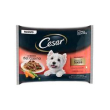 cesar delizie del giorno selezione in salsa multipack bs 304911 pollo...
