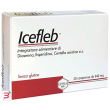 icefleb 20 compresse