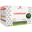condroart 30bust