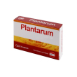 plantarum 10mld 24cps