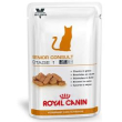 veterinary diet cat mature consult