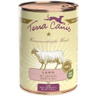 classic agnello con zucchina