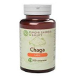 chaga basic 120cpr