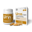 urys caps