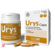 urys caps 30 capsule