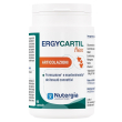ergycartil flex 60 cps