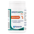 ergycartil flex 60 cps