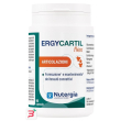 ergycartil flex 90 capsule
