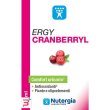 ergycranberryl 250 ml