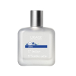 bebe profumo 50ml
