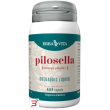 pilosella 60 capsule