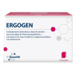 ergogen 18bust