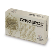 arche' farma gyngerol 60 compresse