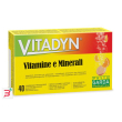 vitadyn vitamine/minerali 40 compresse effervescenti in 2 tubi