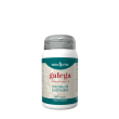 erbavita - galega integratore mamma durante l'allattamento confezione 60 capsule
