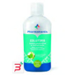 pharmamentis collutorio azione protettiva rinfrescante 500 ml