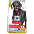 hill's canine perfect digestion adult large 12 kg