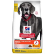science plan perfect digestion large breed adult 1+ con pollo e riso ...