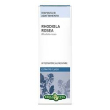rhodiola rosae 60cps