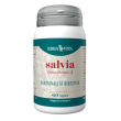 salvia 60cps