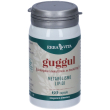 erba vita guggul capsule 42 g