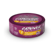 catnivor sterilized tacchino - alimento completo per gatti adulti sterilizzati 80 gr