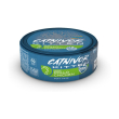 catnivor kitten pollo - alimento completo per gattini e gatte in gravidanza e allattamento 80 gr