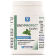 ergyprotect confort 60 capsule 31 g g