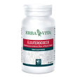eleuterococco 60 capsule 400mg