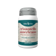 erba vita crisantello americano capsule 30 g