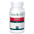 erba vita - tribulus terrestris 500 mg confezione 60 capsule