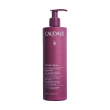 thé des vignes - trattamento corpo ialuronico nutriente 400 ml