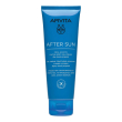 apivita after sun 100ml ts 22