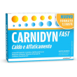 carnidyn - fast caldo e affaticamento confezione 12 bustine