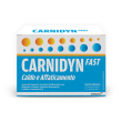 carnidyn fast 12 bustine