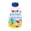 hipp biologico frutta frullata & latte di cocco mela banana e mango 90 grammi