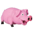 maiale tx35499 pelo ispido   #