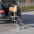 scaletta pieghevole petwalk in alluminio/plastica tx39376