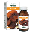 reishi 180past