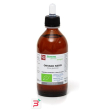 ontano nero macerato glicerico 200 ml bio
