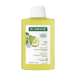 klorane shampoo al cedro energizzante da 200ml