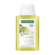 klorane - shampoo energizzante al cedro per capelli da normali a grassi 100 ml