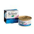 schesir cat kitt ton aloe 85g