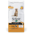 large maintenance large adult al pollo - alimento completo per cani adulti di taglia grande 12 kg