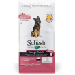 large maintenance large adult al prosciutto - alimento completo per cani adulti di taglia grande 12