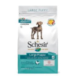schesir dog puppy large pollo 12kg 6300